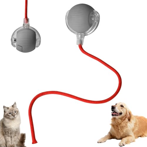 Lifetter Chewie Viraler Rollball - Smart Katzenspielzeug, Elektrischer Hundeball, Automatischer 360° Rolling Chase Mate, Doggie Ball für Haustiere Lifetter Chewie Viraler Rollball - Smart Katzenspielzeug, Elektrischer Hundeball, Automatischer 360° Rolling Chase Mate, Doggie Ball für Haustiere von lifetter