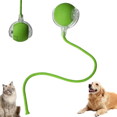Lifetter Chewie Viral Smart Cat & Dog Toy, Automatischer 360° Rolling Chase Mate Ball, Grün Lifetter Chewie Viral Smart Cat & Dog Toy, Automatischer 360° Rolling Chase Mate Ball, Grün von lifetter