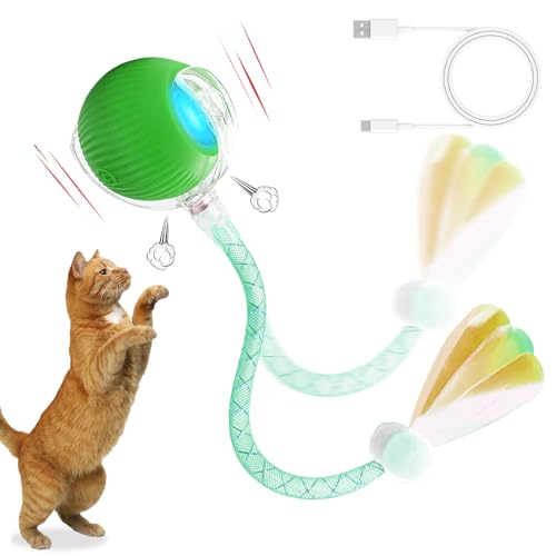 liiyiela Interaktiver Ball - Indoor Katze Interaktiver Katzenspielzeugball mit elastischem Netzschwanz, Automatisches Kätzchenspielzeug für gelangweilte Indoor-Katzen von liiyiela
