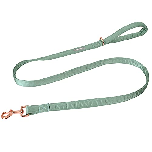 Lionet Paws Hund Leine - Seide Leine für kleine mittlere große Hunde passende Kragen für Mädchen und Jungen von lionet paws