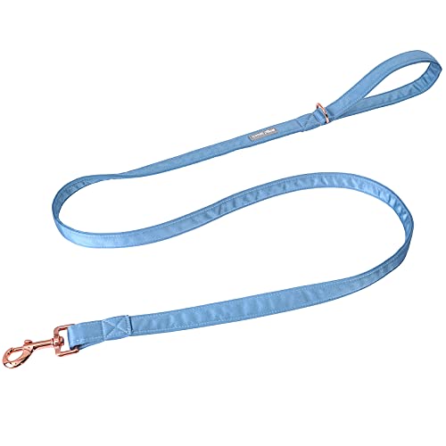 Lionet Paws Hund Leine - Seide Leine für kleine mittlere große Hunde passende Kragen für Mädchen und Jungen Lionet Paws Hund Leine - Seide Leine für kleine mittlere große Hunde passende Kragen für Mädchen und Jungen von lionet paws