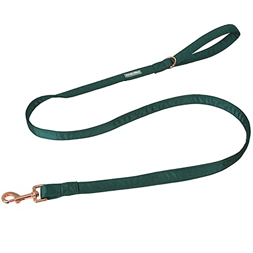 Lionet Paws Hund Leine - Seide Leine für kleine mittlere große Hunde passende Kragen für Mädchen und Jungen Lionet Paws Hund Leine - Seide Leine für kleine mittlere große Hunde passende Kragen für Mädchen und Jungen von lionet paws