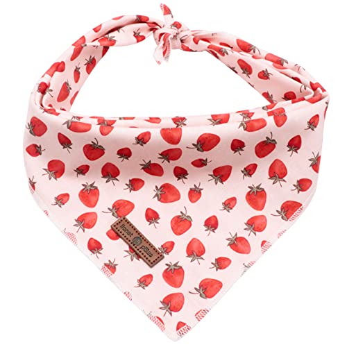 Lionet Paws Hunde Bandana Kopftücher Hundehalstuch Dreieckstuch für Kleine, Mittelgroße und Große Hunde Erdbeere Lionet Paws Hunde Bandana Kopftücher Hundehalstuch Dreieckstuch für Kleine, Mittelgroße und Große Hunde Erdbeere von lionet paws