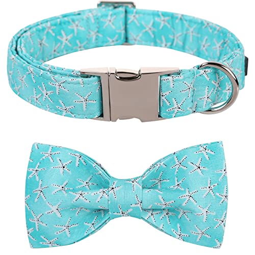 Lionet Paws Hundehalsband mit Fliege, Langlebiges Bequemes Baumwolle Halsband mit Metall Steckverschluss für Hunde und Katzen, Hals 25-40cm von lionet paws