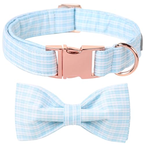 Lionet Paws Streifen Hundehalsband mit Fliege,Einstellbare Sommer blau Fliege Halsband für Hunde, Bequeme Hundehalsband Mädchen Junge Lionet Paws Streifen Hundehalsband mit Fliege,Einstellbare Sommer blau Fliege Halsband für Hunde, Bequeme Hundehalsband Mädchen Junge von lionet paws