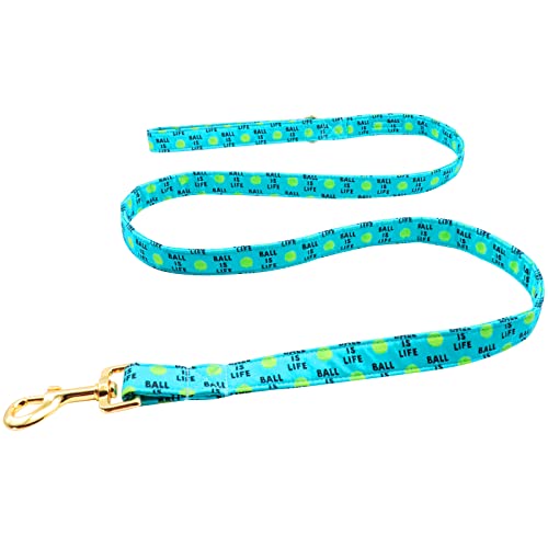Lionet Paws Hundeleine Baumwolle Hund Leine für kleine mittelgroße große Hunde Lionet Paws Hundeleine Baumwolle Hund Leine für kleine mittelgroße große Hunde von lionet paws