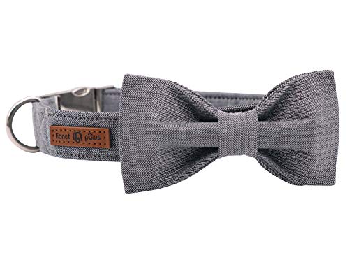 Lionet Paws Hundehalsband mit Fliege, Langlebiges Bequemes Baumwolle Halsband mit Metall Steckverschluss für Hunde und Katzen, Hals 20-30cm Lionet Paws Hundehalsband mit Fliege, Langlebiges Bequemes Baumwolle Halsband mit Metall Steckverschluss für Hunde und Katzen, Hals 20-30cm von lionet paws