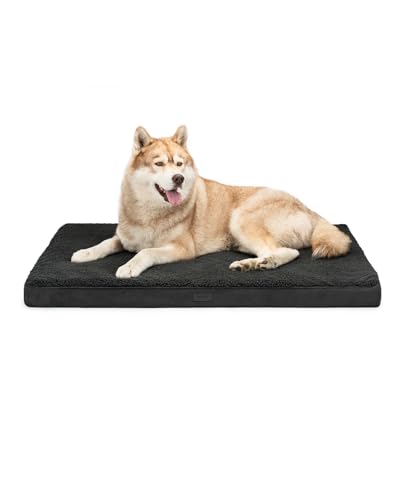lionto Hundebett orthopädisch, 112x81x8 cm, Robustes Hundekissen mit weichem Plüsch, Bezug abnehmbar & waschbar, wasserabweisend, geeignet für kleine & große Hunde + Katzen, schwarz lionto Hundebett orthopädisch, 112x81x8 cm, Robustes Hundekissen mit weichem Plüsch, Bezug abnehmbar & waschbar, wasserabweisend, geeignet für kleine & große Hunde + Katzen, schwarz von lionto