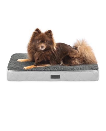 lionto Hundebett orthopädisch, 60x40x8 cm, Robustes Hundekissen mit weichem Plüsch, Bezug abnehmbar & waschbar, wasserabweisend, geeignet für kleine & große Hunde + Katzen, grau lionto Hundebett orthopädisch, 60x40x8 cm, Robustes Hundekissen mit weichem Plüsch, Bezug abnehmbar & waschbar, wasserabweisend, geeignet für kleine & große Hunde + Katzen, grau von lionto
