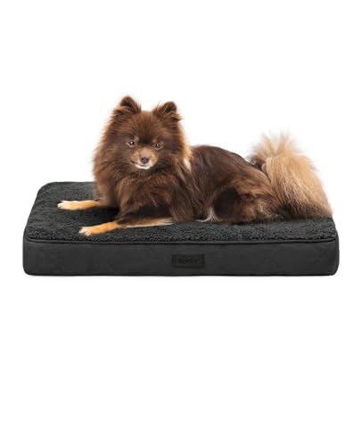 lionto Hundebett orthopädisch, 60x40x8 cm, Robustes Hundekissen mit weichem Plüsch, Bezug abnehmbar & waschbar, wasserabweisend, geeignet für kleine & große Hunde + Katzen, schwarz lionto Hundebett orthopädisch, 60x40x8 cm, Robustes Hundekissen mit weichem Plüsch, Bezug abnehmbar & waschbar, wasserabweisend, geeignet für kleine & große Hunde + Katzen, schwarz von lionto