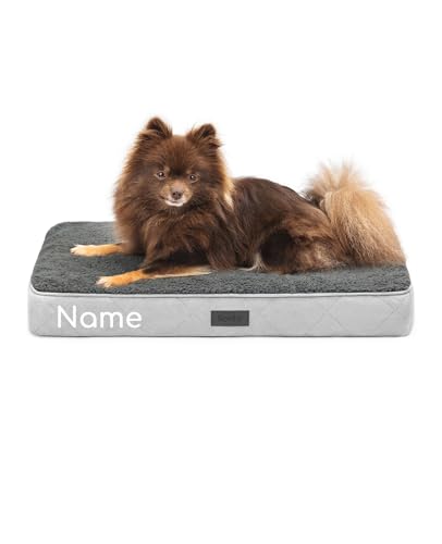 lionto Hundebett orthopädisch, 60x40x8 cm, Robustes Hundekissen mit weichem Plüsch, Bezug abnehmbar & waschbar, wasserabweisend, geeignet für kleine & große Hunde + Katzen, grau (Namensaufdruck) lionto Hundebett orthopädisch, 60x40x8 cm, Robustes Hundekissen mit weichem Plüsch, Bezug abnehmbar & waschbar, wasserabweisend, geeignet für kleine & große Hunde + Katzen, grau (Namensaufdruck) von lionto
