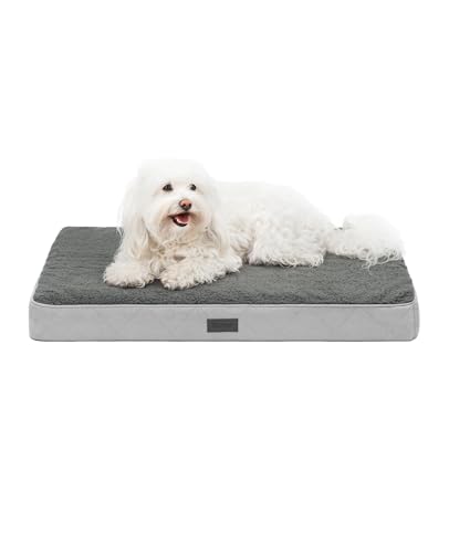 lionto Hundebett orthopädisch, 76x51x8 cm, Robustes Hundekissen mit weichem Plüsch, Bezug abnehmbar & waschbar, wasserabweisend, geeignet für kleine & große Hunde + Katzen, grau lionto Hundebett orthopädisch, 76x51x8 cm, Robustes Hundekissen mit weichem Plüsch, Bezug abnehmbar & waschbar, wasserabweisend, geeignet für kleine & große Hunde + Katzen, grau von lionto