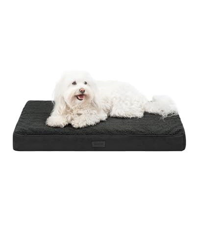 lionto Hundebett orthopädisch, 76x51x8 cm, Robustes Hundekissen mit weichem Plüsch, Bezug abnehmbar & waschbar, wasserabweisend, geeignet für kleine & große Hunde + Katzen, schwarz von lionto