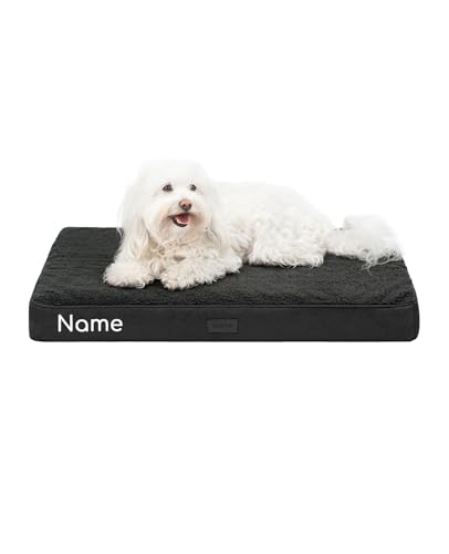 lionto Hundebett orthopädisch, 76x51x8 cm, Robustes Hundekissen mit weichem Plüsch, Bezug abnehmbar & waschbar, wasserabweisend, geeignet für kleine & große Hunde + Katzen, schwarz (Namensaufdruck) lionto Hundebett orthopädisch, 76x51x8 cm, Robustes Hundekissen mit weichem Plüsch, Bezug abnehmbar & waschbar, wasserabweisend, geeignet für kleine & große Hunde + Katzen, schwarz (Namensaufdruck) von lionto