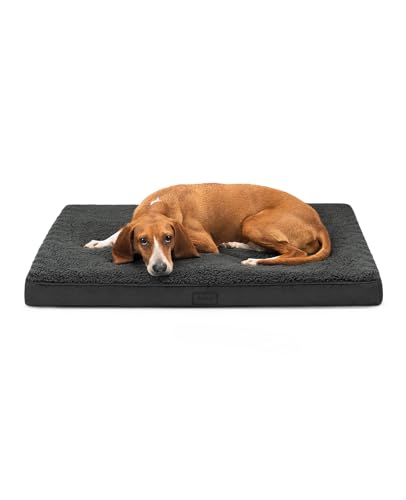 lionto Hundebett orthopädisch, 91x69x8 cm, Robustes Hundekissen mit weichem Plüsch, Bezug abnehmbar & waschbar, wasserabweisend, geeignet für kleine & große Hunde + Katzen, schwarz lionto Hundebett orthopädisch, 91x69x8 cm, Robustes Hundekissen mit weichem Plüsch, Bezug abnehmbar & waschbar, wasserabweisend, geeignet für kleine & große Hunde + Katzen, schwarz von lionto