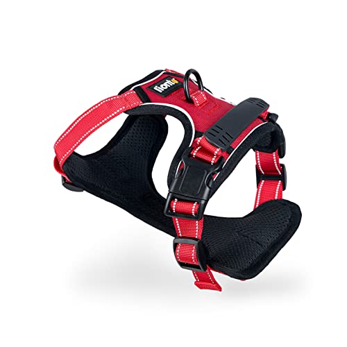 lionto Hundegeschirr gepolstert aus weichem Nylon, Größe L, reflektierendes Anti Zug Geschirr für Hunde mit 2 Ringen & 4 Einstellgurten, Zwei Klickverschlüsse & gummierter Griff am Rücken, rot lionto Hundegeschirr gepolstert aus weichem Nylon, Größe L, reflektierendes Anti Zug Geschirr für Hunde mit 2 Ringen & 4 Einstellgurten, Zwei Klickverschlüsse & gummierter Griff am Rücken, rot von lionto