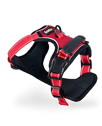 lionto Hundegeschirr gepolstert aus weichem Nylon, Größe M, reflektierendes Anti Zug Geschirr für Hunde mit 2 Ringen & 4 Einstellgurten, Zwei Klickverschlüsse & gummierter Griff am Rücken, rot lionto Hundegeschirr gepolstert aus weichem Nylon, Größe M, reflektierendes Anti Zug Geschirr für Hunde mit 2 Ringen & 4 Einstellgurten, Zwei Klickverschlüsse & gummierter Griff am Rücken, rot von lionto