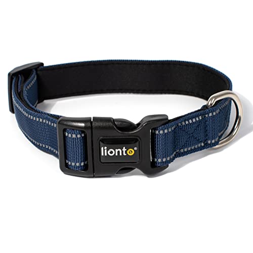 lionto Hundehalsband gepolstert Halsband Nylon reflektierend wasserfest verstellbar, Größe M, blau von lionto