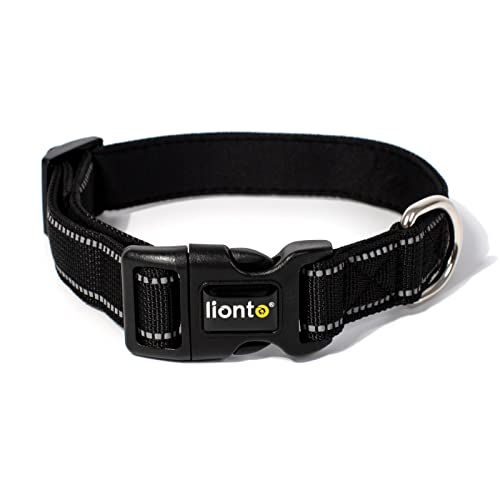 lionto Hundehalsband gepolstert Halsband Nylon reflektierend wasserfest verstellbar, Größe M, schwarz von lionto