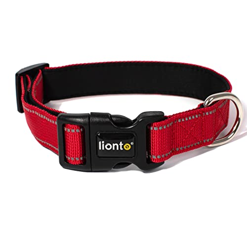 lionto Hundehalsband aus strapazierfähigem Nylon, Größe XL, weiches gepolstertes Halsband für Hunde, 360° reflektierend & Klickverschluss, Metallring & Anpassung durch stufenlosen Schieber, rot von lionto