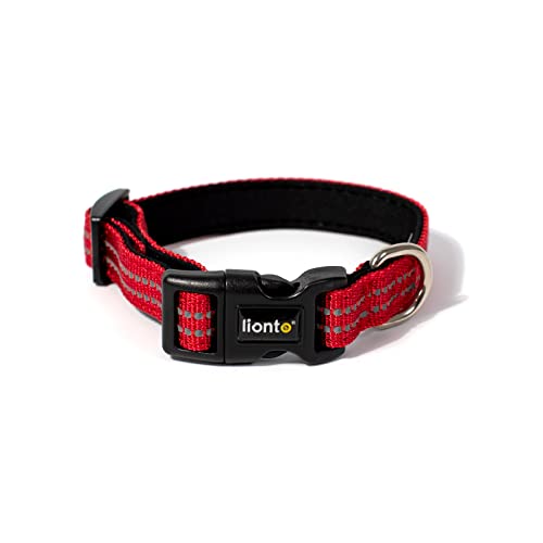 lionto Hundehalsband gepolstert Halsband Nylon reflektierend wasserfest verstellbar, Größe XS, rot von lionto