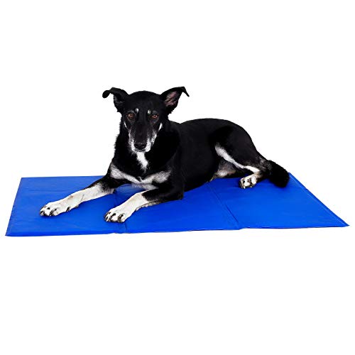 lionto Kühlmatte für Hunde & Katzen, selbstkühlende Haustiermatte sorgt für Erfrischung an warmen Tagen, 100x60 cm, Faltbare Kühldecke ohne Strom, Kühlung durch Körperkontakt, leichte Reinigung, blau lionto Kühlmatte für Hunde & Katzen, selbstkühlende Haustiermatte sorgt für Erfrischung an warmen Tagen, 100x60 cm, Faltbare Kühldecke ohne Strom, Kühlung durch Körperkontakt, leichte Reinigung, blau von lionto