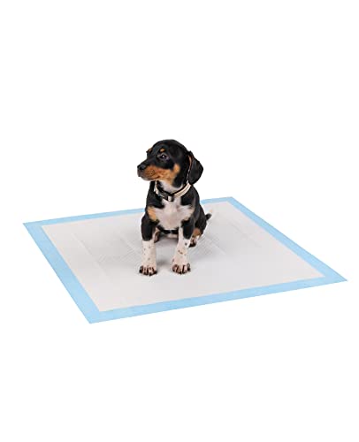 lionto Welpenunterlage Trainingspads Hygieneunterlage für Hunde auslaufsicher 6-lagig, 60x60 cm, 100 STK. von lionto