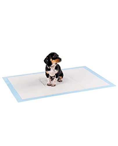 lionto Welpenunterlage Trainingspads Hygieneunterlage für Hunde auslaufsicher 6-lagig, 60x90 cm, 50 STK. von lionto