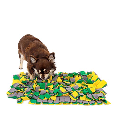 lionto Schnüffelteppich für Hunde Suchteppich Trainingsmatte, (S) 50x34 cm gelb/grün von lionto