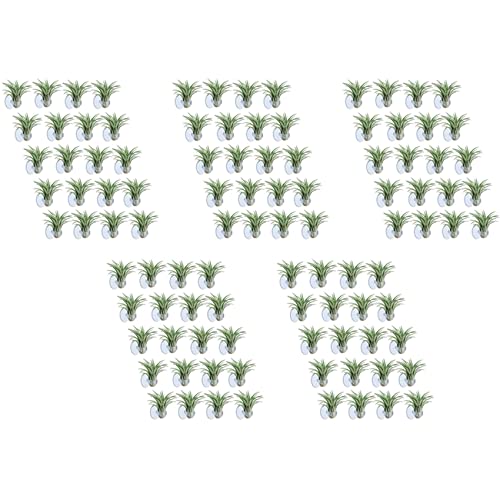 liovitor 100 Stück Luft-Pflanzenhalter, Blumentopf-Tillandsien-Halter, Luftpflanzenaufhänger mit Saugnapf (Pflanzen nicht im Lieferumfang enthalten) von liovitor