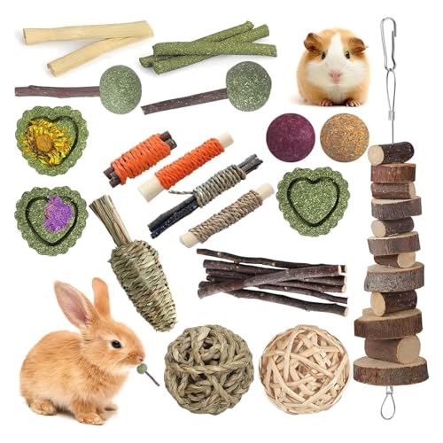lisetar Kaninchenspielzeug, Meerschweinchen-Spielzeug, Hamsterspielzeug, Hasenspielzeug, 18 Stück, natürliche Timothy-Heustäbchen, Apfelholzstäbchen, Chinchilla-Spielzeug für Zahnpflege, handgefertigt lisetar Kaninchenspielzeug, Meerschweinchen-Spielzeug, Hamsterspielzeug, Hasenspielzeug, 18 Stück, natürliche Timothy-Heustäbchen, Apfelholzstäbchen, Chinchilla-Spielzeug für Zahnpflege, handgefertigt von lisetar