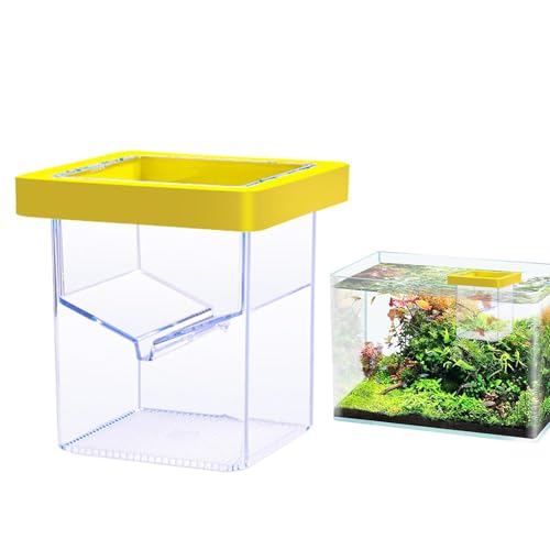 lisutupode Aquarium -Zuchtbox, Fischtankzüchterbox | Züchterisolationsteiler,Saugnapfbecher -Schlupfbehälter, Aquariumzubehör zum Isolieren, Akklimatisieren oder Anheben von lisutupode