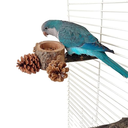 lisutupode Futterschale für Vögel, Papageien-Futterschale für Käfig, Vogelfutter, Wasserschalen für Nymphensittiche, Wellensittiche, Sittiche, Papageien, Vogel, Sitzstange, Käfigzubehör von lisutupode