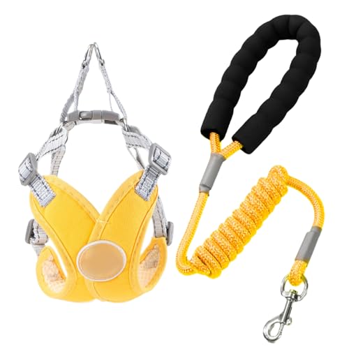 lisutupode Geschirr Für Hunde,Einstellbares Anti-Würgen Haustiergeschirr - Reflektierend Atmungsaktiv Mit Leine Und Zubehör Für Spaziergänge - Für Training Wandern Camping Jogging Kleine Rassen von lisutupode