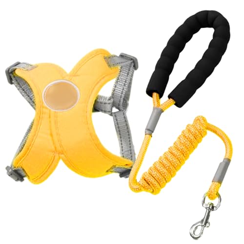 lisutupode Hundegeschirr für Hunde, verstellbar, kein Ziehen, reflektierend, atmungsaktiv, mit Seil, Zubehör für kleine Rassen, Joggen, Training, Roadtrip, Wandern, Park, Outdoor lisutupode Hundegeschirr für Hunde, verstellbar, kein Ziehen, reflektierend, atmungsaktiv, mit Seil, Zubehör für kleine Rassen, Joggen, Training, Roadtrip, Wandern, Park, Outdoor von lisutupode