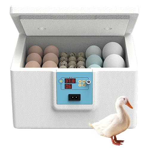 lisutupode Inkubator für Eier | Wachtel-Inkubator für den Hausgebrauch – halbautomatisches Gerät für pädagogische Bauernhöfe Haus Ente Tauben von lisutupode