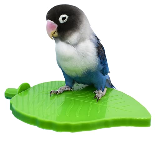 lisutupode Vogel Sitzstangen Käfigspielzeug | Blattförmige Vogelkäfig Kletter-Spielbereich - Zubehör Für Haustiere, Spiel- Und Kletterstange Für Aras Spatzen Wellensittiche Nymphensittiche von lisutupode