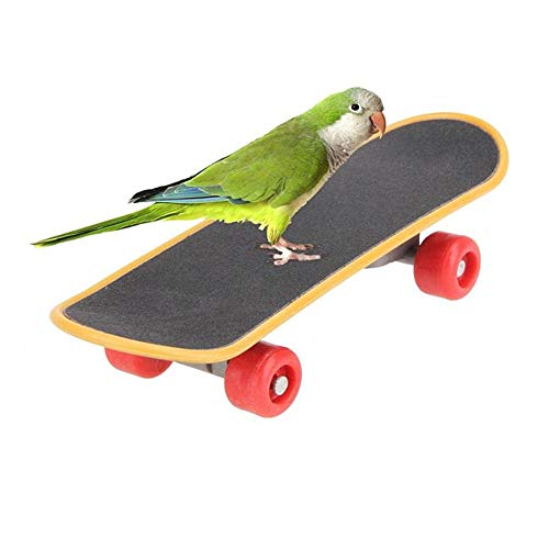 Papageienspielzeug Einfach Zu Säubern Vogel Zubehör Individualität Vogelspielzeug Für Lassen Sie Ihr Haustier Sicher Und Fest Stehen von llasm