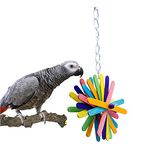 Papageienspielzeug Schön Vogelkäfig Zubehör Sicher Vogelspielzeug Vogelkäfig Zubehör Für Lassen Sie Ihr Haustier Sicher Und Fest Stehen von llasm