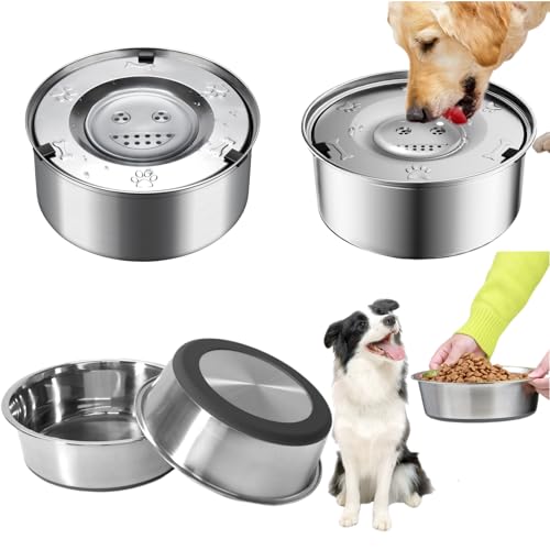 3-teiliges Hundenapf-Set enthält Edelstahl-Wassernapf (940 ml), Futternapf (4 Tassen) und Haustiermatte, neues Zubehör für Hunde und Katzen hält den Boden sauber, wenn Sie kleine Hunde und Katzen von lloYvette