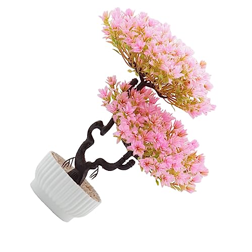 lmoikesz Handgefertigte Puppenhausmöbel – Ergänzung für jeden Raum, bezaubernde Rahmen für Fotos an der Wand, Miniatur Häuser Set, künstlich, Rosa von lmoikesz