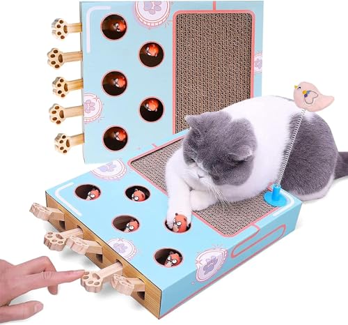longjunjunfashion Katzenspielzeug Interaktives Spielzeug für Indoor Cat Whack a Mole Spielzeug mit Katze Kratzpad Karton Katze Frühling Spielzeug von longjunjunfashion