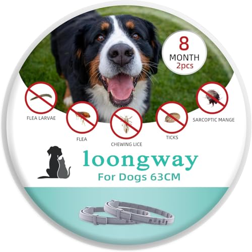 Zeckenhalsband für Hunde, Zecken Halsband für Katze, Flohhalsband, Verstellbar zecken Halsband für Hunde und Katze, bis zu 8 Monate Zeckenschutz mit 100% natürlichen inhaltsstoffen Zeckenhalsband für Hunde, Zecken Halsband für Katze, Flohhalsband, Verstellbar zecken Halsband für Hunde und Katze, bis zu 8 Monate Zeckenschutz mit 100% natürlichen inhaltsstoffen von loongway