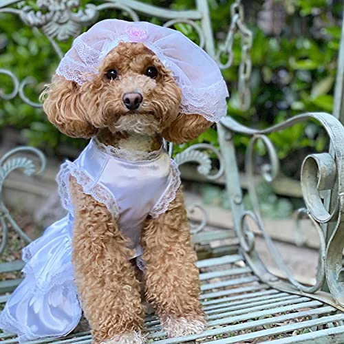 Hunde-Hochzeitskleid mit Kopfstücken, luxuriöses Spitzen-Kostüm für Hunde, weich, bequem, für Hochzeit, Party, Brautkleid, für kleine, mittelgroße und große Hunde, Weiß, XS von lovelonglong