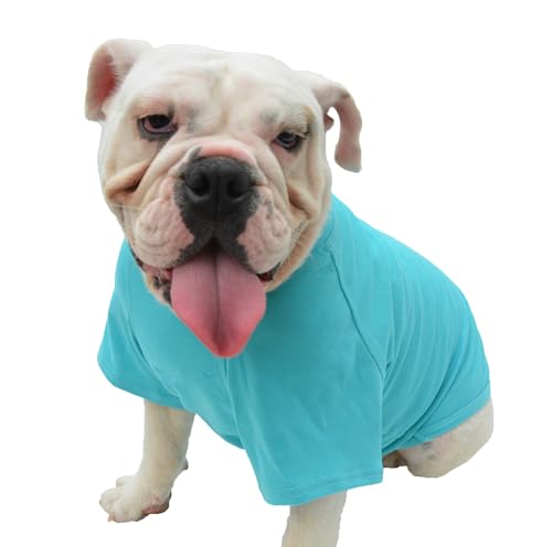 Lovelonglong Bulldogge Kleidung Hund Kleidung Blank T-Shirt Tee Shirts für Französische Bulldogge Englische Bulldogge Amerikanische Pit Bull Mops 100% Baumwolle Hautpflege Türkis B-S von lovelonglong