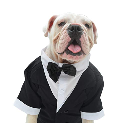 Lovelonglong Bulldogge Kostüm Hundeanzug formeller Smoking mit schwarzer Fliege Hochzeitskleidung für Mops/Französische Bulldogge/Englische Bulldogge/Amerikanische Pit Bull Schwarz B-S von lovelonglong