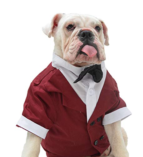 Lovelonglong Bulldoggen-Kostüm für Hunde, formeller Smoking mit schwarzer Fliege, Hochzeitskleidung für Mops/Französische Bulldogge/Englische Bulldogge/Amerikanische Pit Bull, Braun B-S von lovelonglong