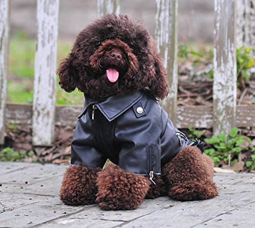 Lovelonglong Coole Hunde-Lederjacke, warme Mäntel, Winddicht, kaltes Wetter, Mäntel für große, mittelgroße und kleine Hunde, Zwergpudel, Schnauzer, Kleidung, Schwarz, XL von lovelonglong