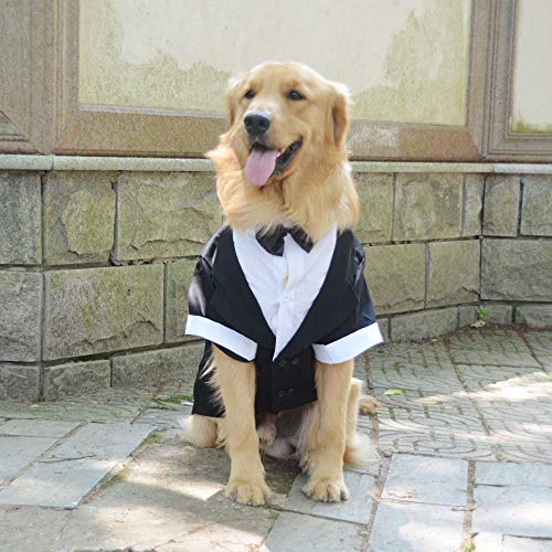 Lovelonglong Haustierkostüm, Hundeanzug, formeller Smoking mit schwarzer Fliege für große Hunde, Labrador-Kleidung, Größe L-L von lovelonglong