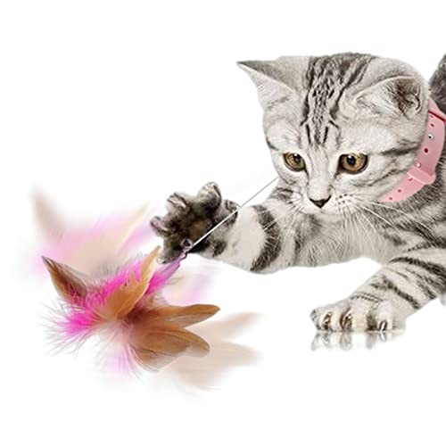 lovemetoo Lustiger Katzenstock,Einziehbares Katzenfederspielzeug mit Halsband | Pet Companion Toy für Kätzchen Cat Catcher, die Spaß beim Spielen haben von lovemetoo